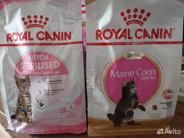 Корм для котят роял канин royal canin 2 кг разный