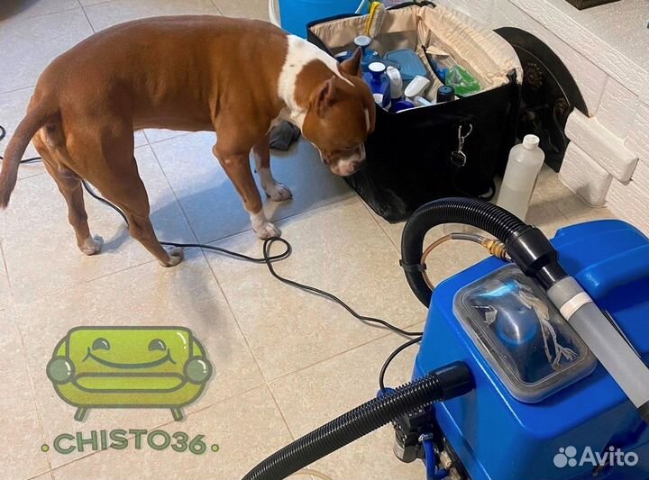 Химчистка мебели в Воронеже