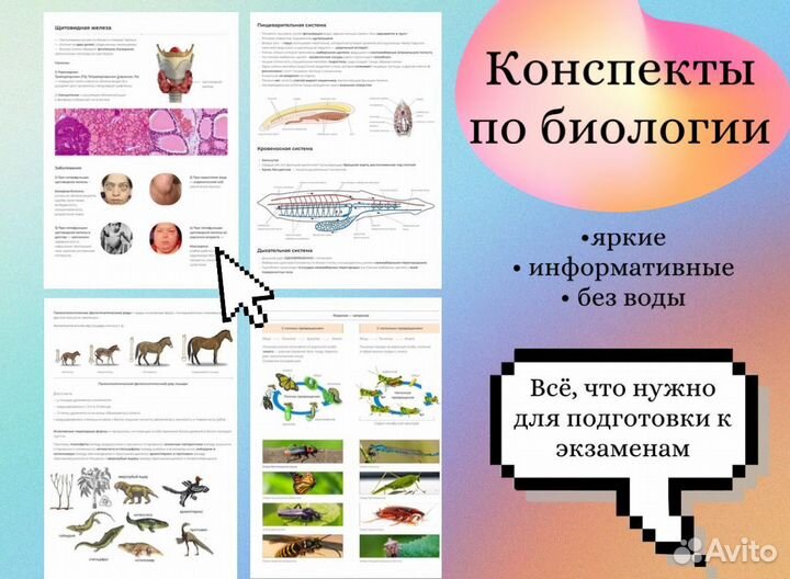 Репетитор по биологии ОГЭ
