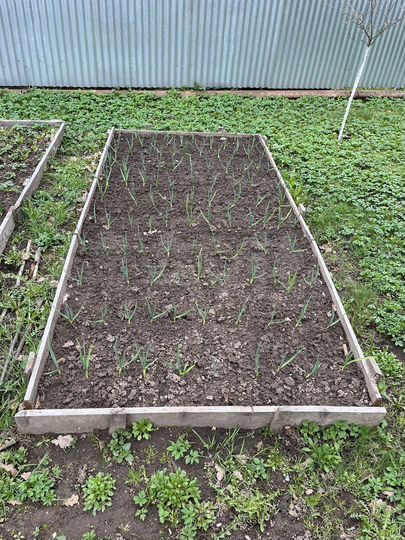 Дача 55,3 м² на участке 12 сот.