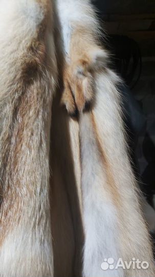 Шкуры лисы