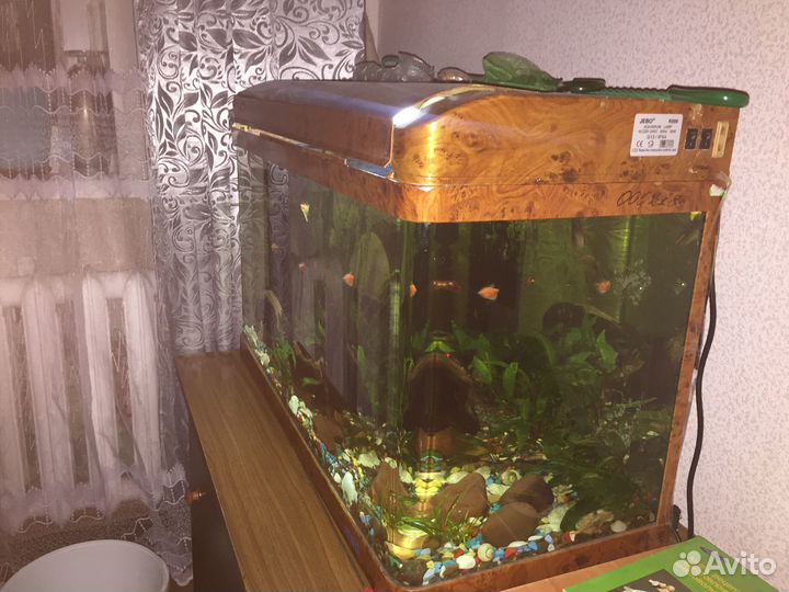Аквариум с рыбками