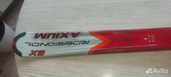 Горные лыжи