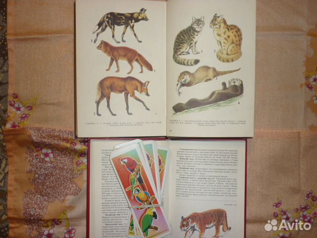 Животный мир,путешествия и рыбалка