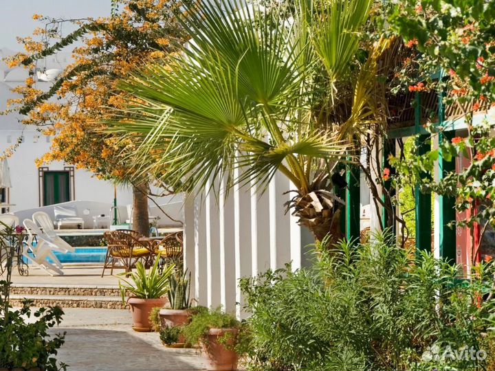 Турне в Sharm El-Sheikh 6 дн
