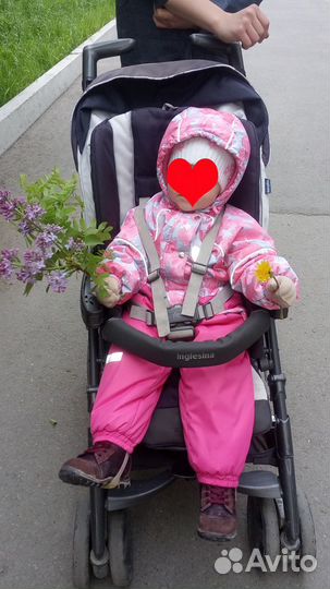 Коляска трость Inglesina Zippy Evo System 3 в 1