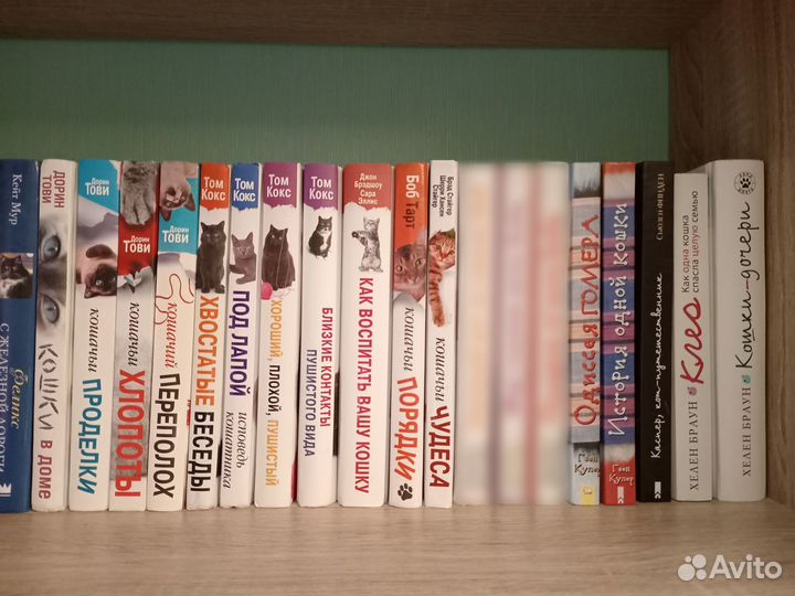 Коллекция редких книг про котов