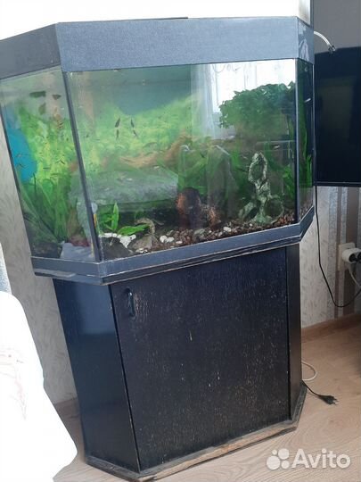 Аквариум с тумбой 120 литров