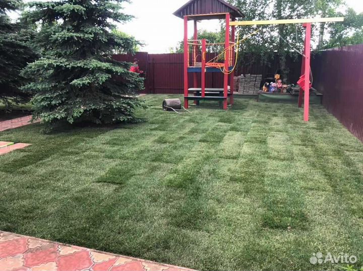 Рулонный газон /продажа/укладка