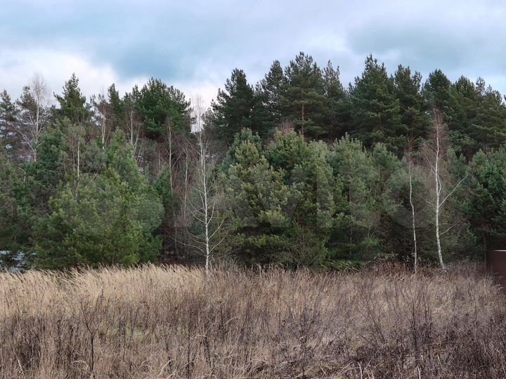 Участок 12,4 сот. (ИЖС)