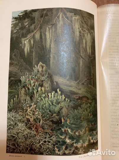 Старинные книги