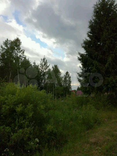 Участок 9 сот. (СНТ, ДНП)