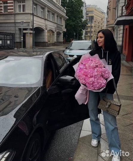 Голландские гортензии / Доставка цветов