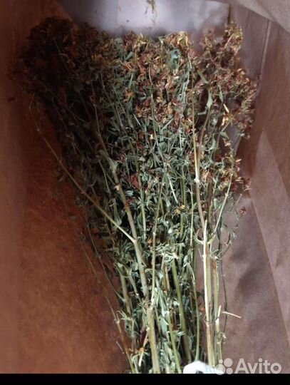 Травы для окуривания, магии, бани