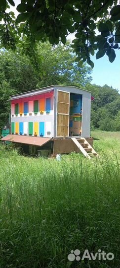 Мёд натуральный, продукты пчеловодства