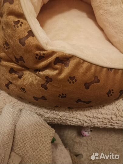 Лежанка для собаки