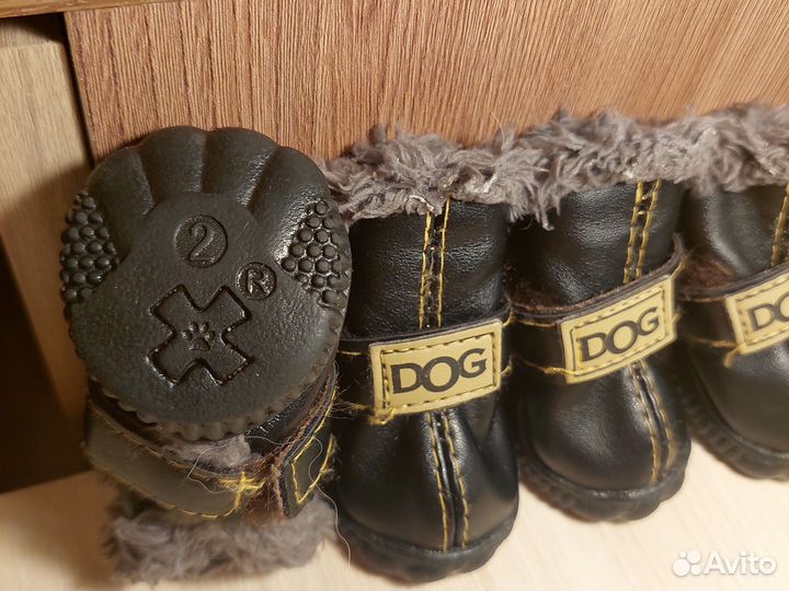 Обувь для собак мелких пород