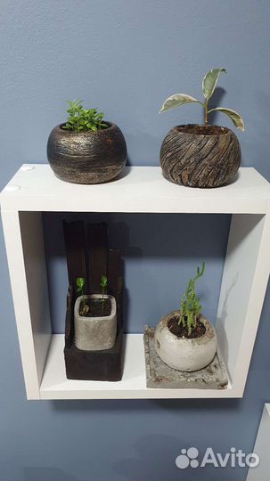 Цветок с горшком