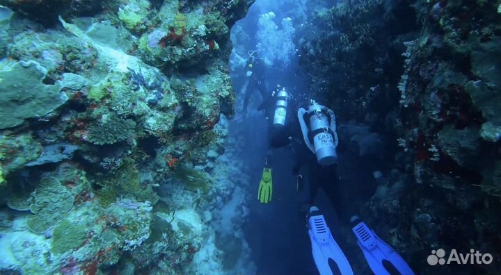 Обучение дайвингу (Международный сертификат)