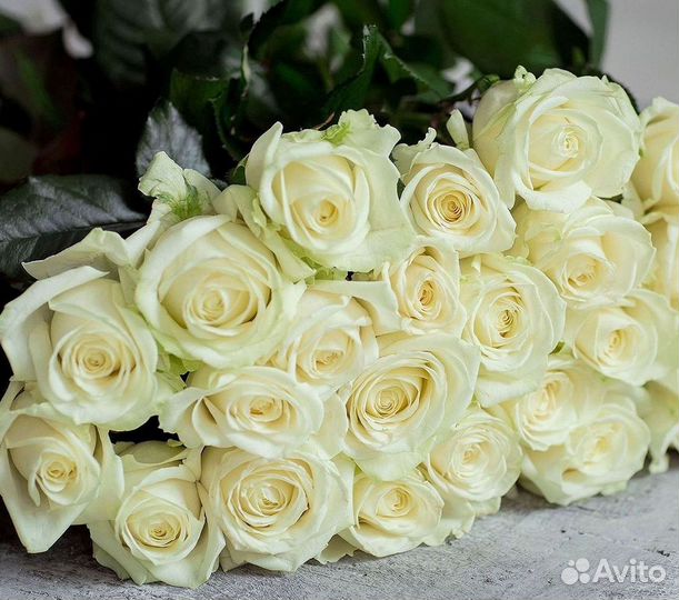 Розы Цветы Букеты 25 151 201 101 301 501 опт