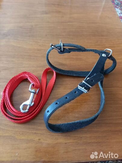 Шлейка и поводок для маленькой собачки или котика