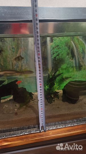 Аквариум