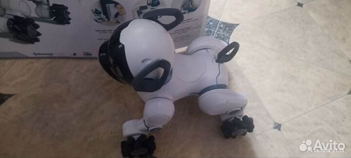 Робот собака chip