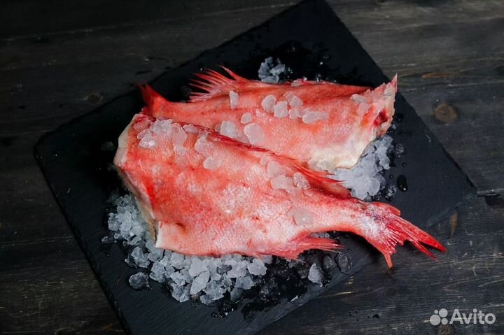 Рыба и морепродукты