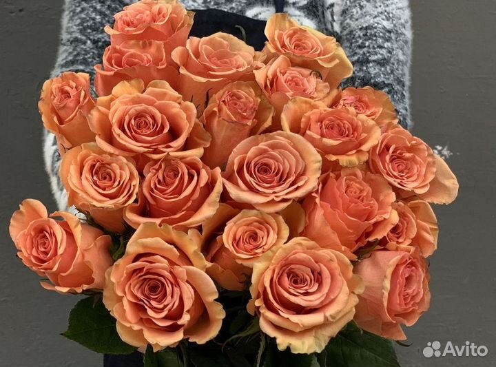 Букет 51 роза