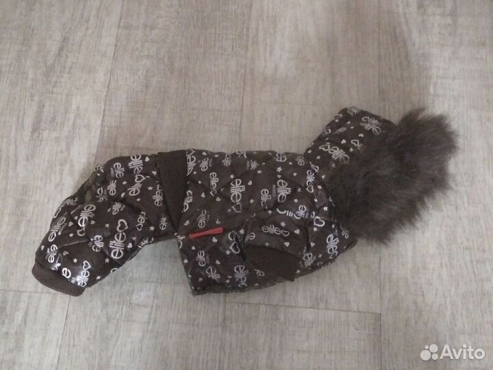 Одежда для маленьких собак