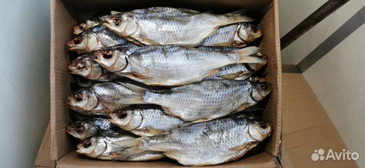 Вобла с доставкой сегодня Москва