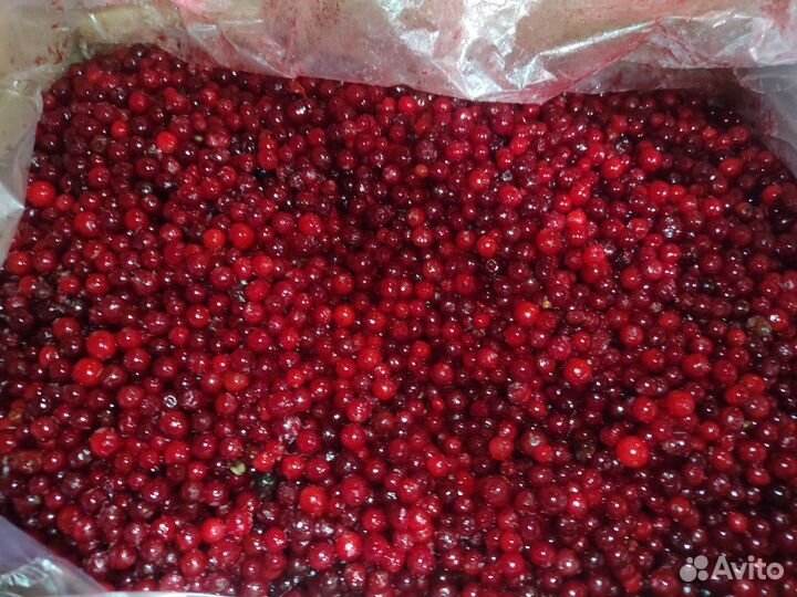 Вишня, малина, клубника, брусника и др