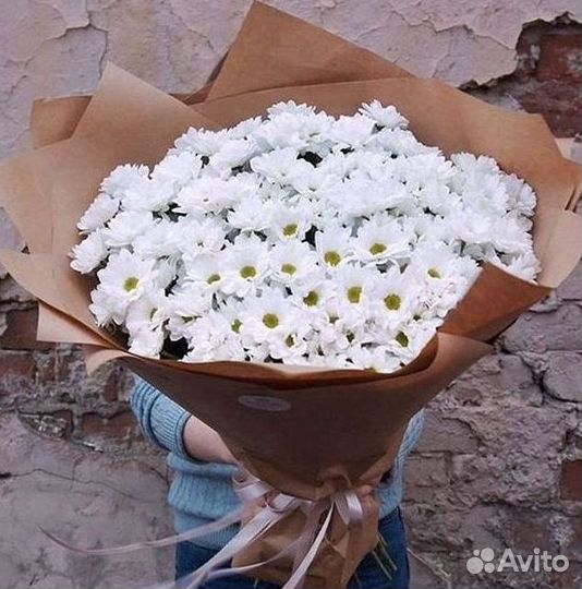 Хризантема