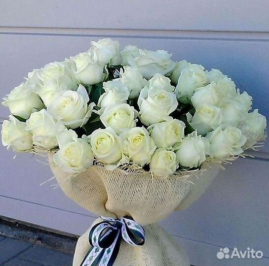 Высокие розы Гигантские розы 110