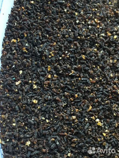 Огневка, пжвм, Личинки Восковой Моли