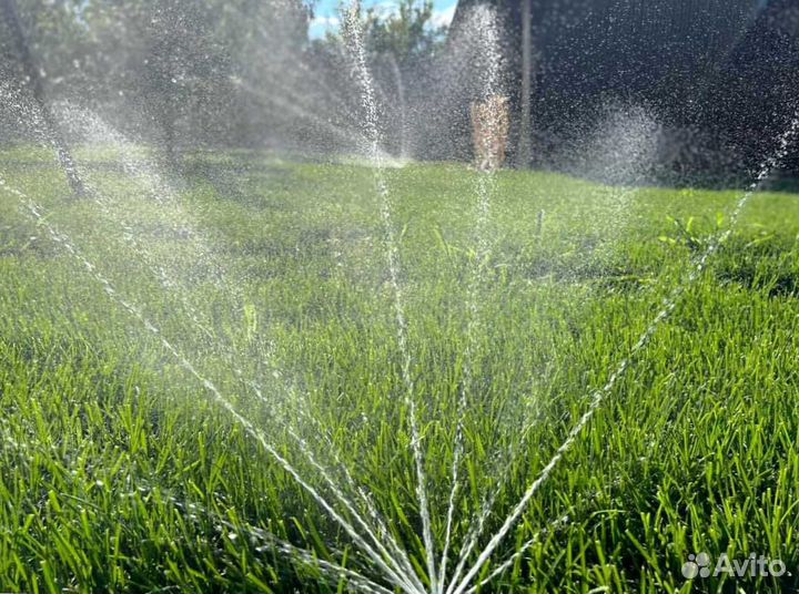 Рулонный газон