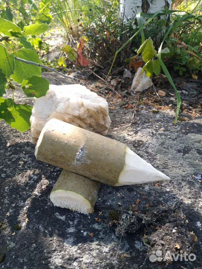 Кол осиновый. Сувенир