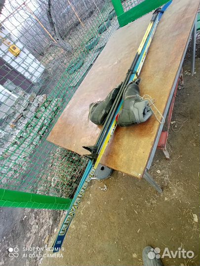 Беговые лыжи