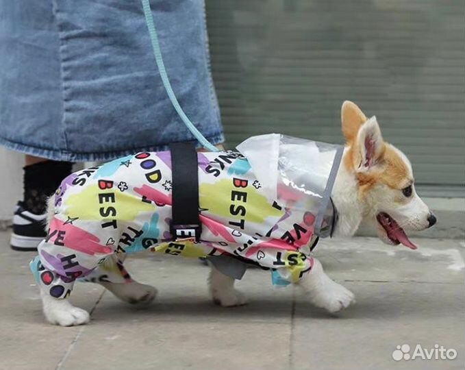 Дождевик для корги(средняя парода)