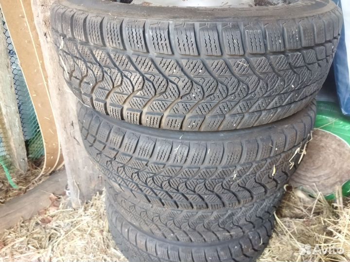 Delinte WD1 195/65 R15