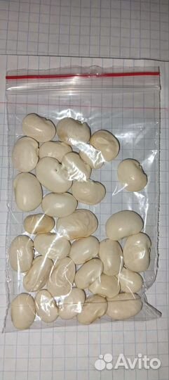 Семена.фасоль разные сорта
