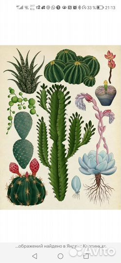 Книга про цветы