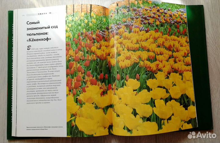 Тюльпаны. Подарочное издание