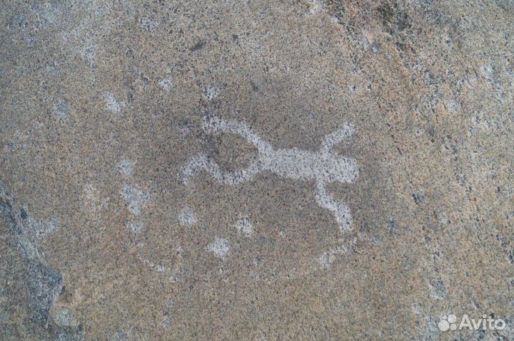 Экскурсия Соловки - Петроглифы