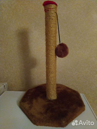 Когтеточка