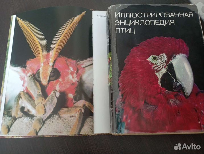 Книги о животных и птицах