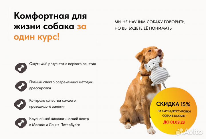 Услуги кинолога с выездом