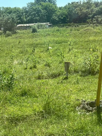 Участок 15 сот. (ИЖС)