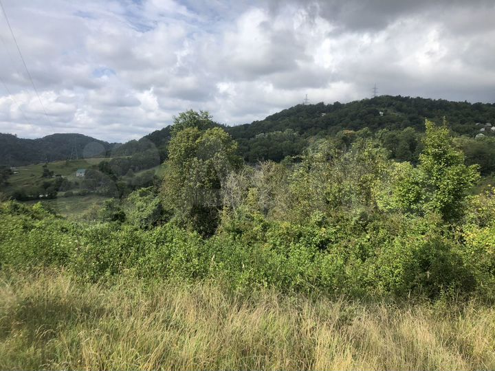 Участок 22 сот. (СНТ, ДНП)