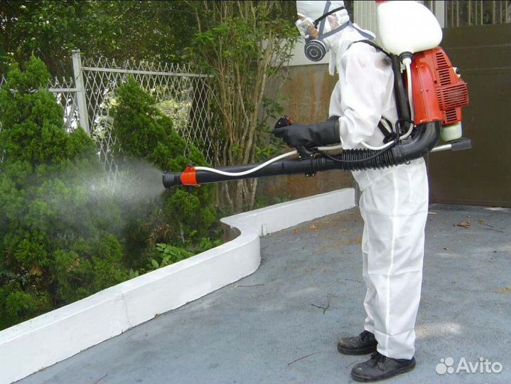 Уничтожение тараканов, клопов: бесплатный выезд